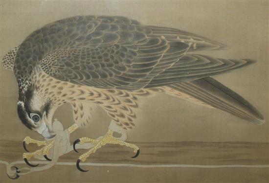 19th century Chinese watercolour of a hawk